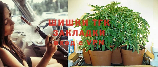мяу мяу мука Армянск