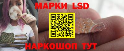 гидропоника Славгород