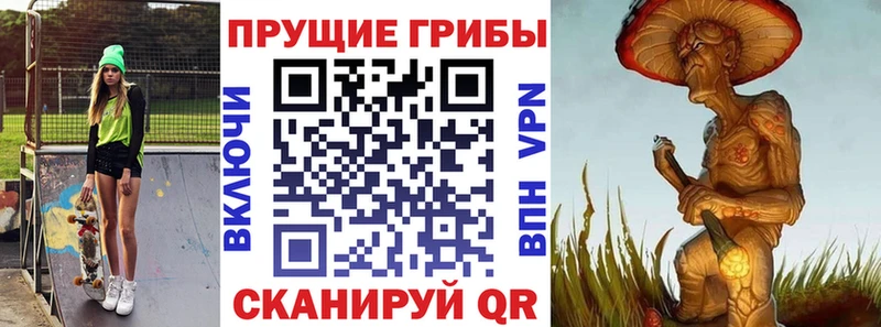 Галлюциногенные грибы Psilocybine cubensis что такое KRAKEN tor Старая Купавна