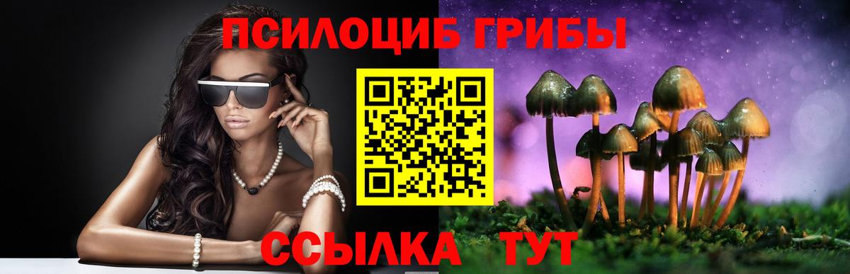 Псилоцибиновые грибы GOLDEN TEACHER Старая Купавна